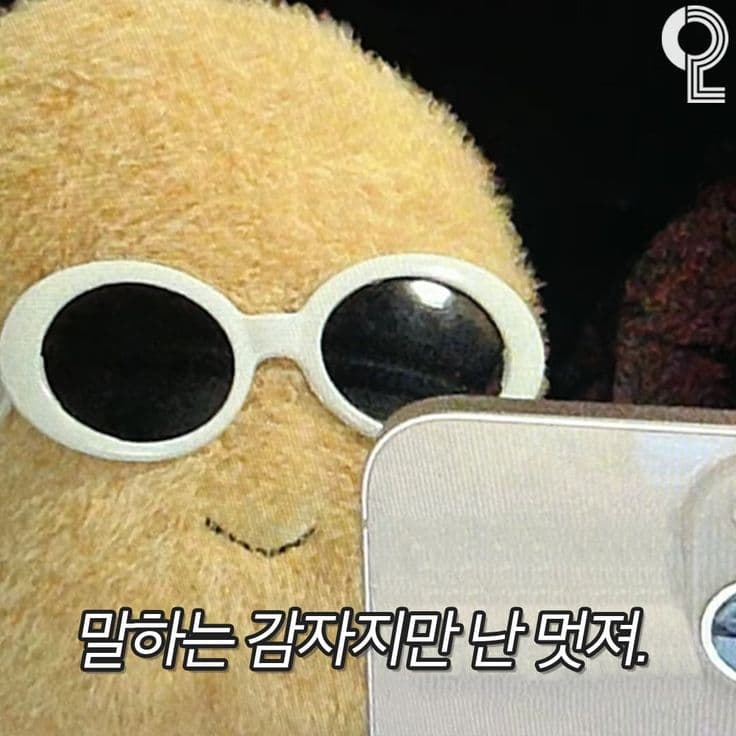 브랜드 상세 상단 배너 이미지